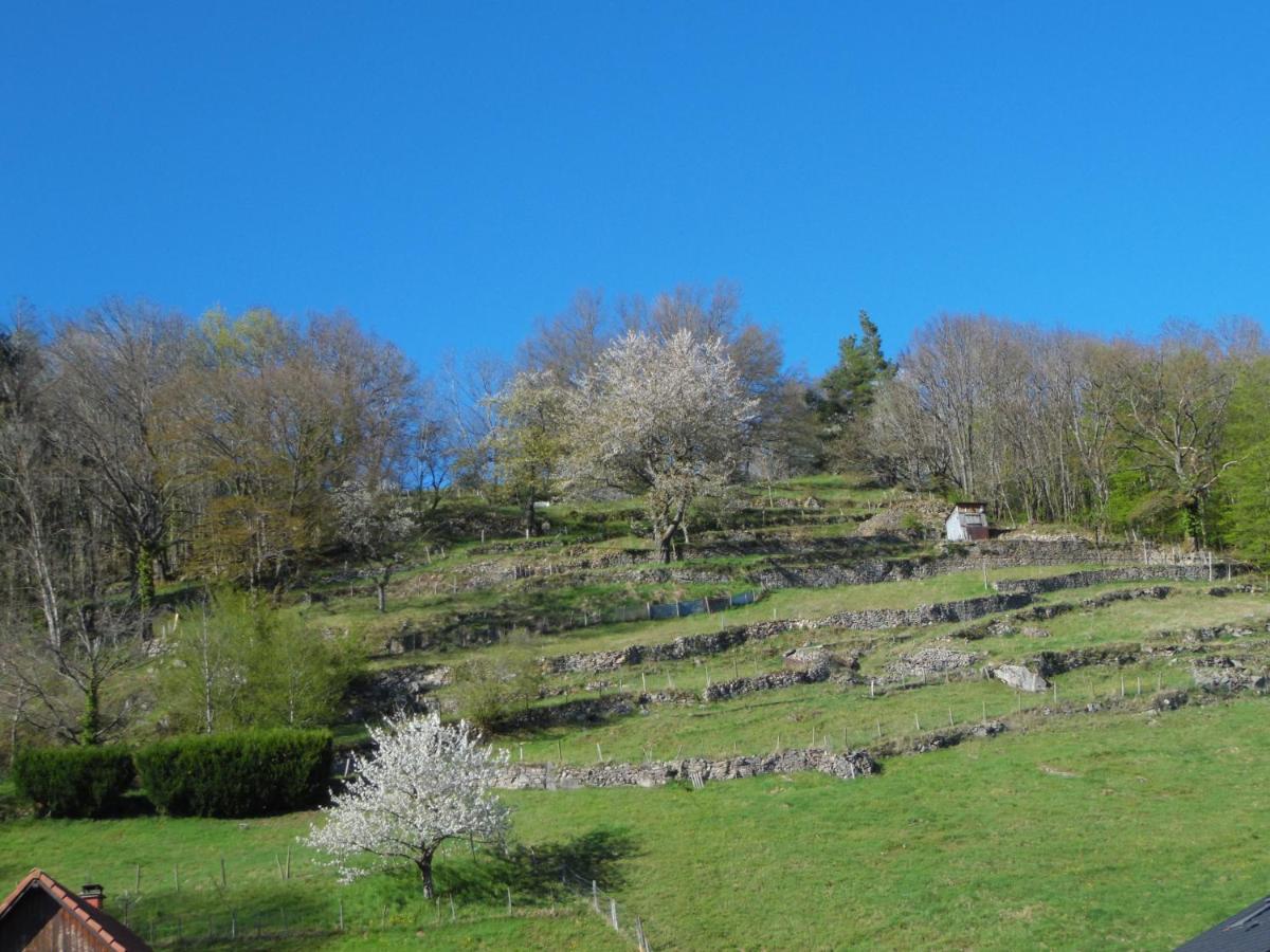 Gite Du Silberwald Charmant Gite Avec Spa - Jacuzzi , Acces Privatif Stosswihr Exterior foto