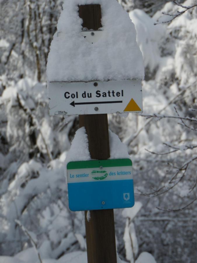 Gite Du Silberwald Charmant Gite Avec Spa - Jacuzzi , Acces Privatif Stosswihr Exterior foto